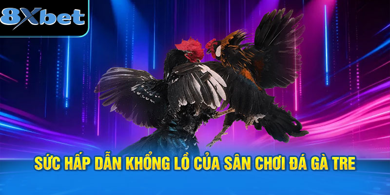 Sức hấp dẫn khổng lồ của sân chơi đá gà tre