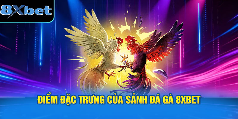 Điểm đặc trưng của sảnh đá gà 8XBET