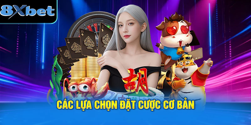 Các lựa chọn đặt cược rồng hổ cơ bản