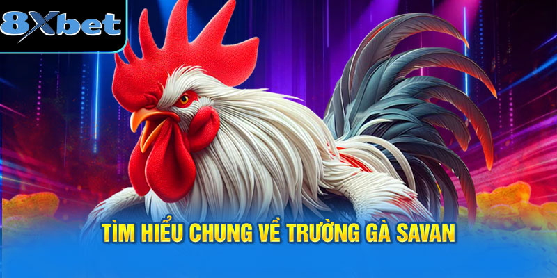 Tìm hiểu chung về trường gà Savan